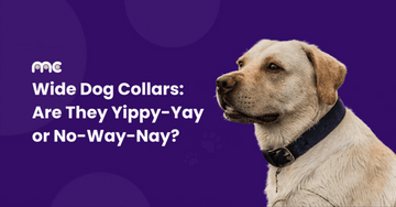 Are Wide Dog Collars More Comfortable for My Dog?