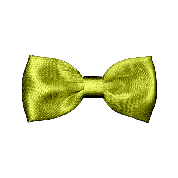 Jade Jewel bowtie<br> in Emerald Green